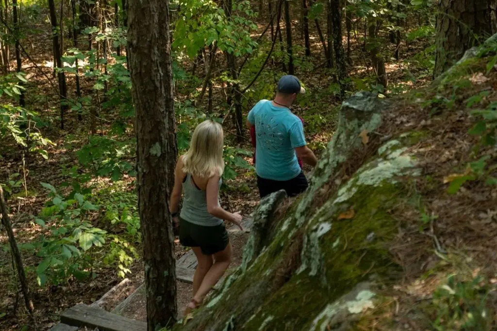 Two people hike a wooded trai.