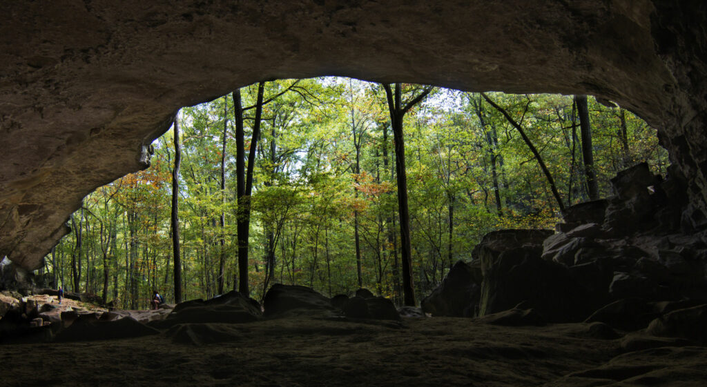 The open mouth of a massive natural cave in FFB.